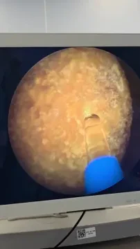 Cabinet d'Urologie et d'Andrologie Dr Ali Chouaib