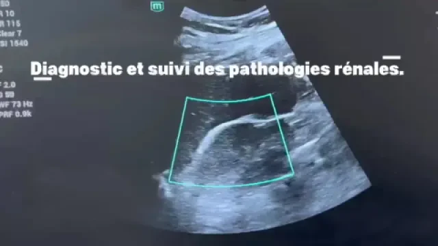 Cabinet d'urologie et d'andrologie du Dr Mohamed Amine Malki
