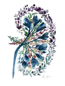 Dr Redouane Hsaine — Urologue
