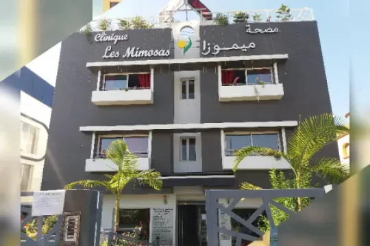 Clinique Les Mimosas