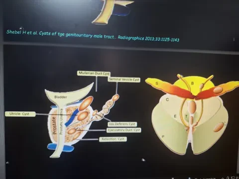 Centre de radiologie Ryad