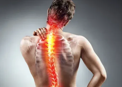 Fibro Kinésithérapie Salé