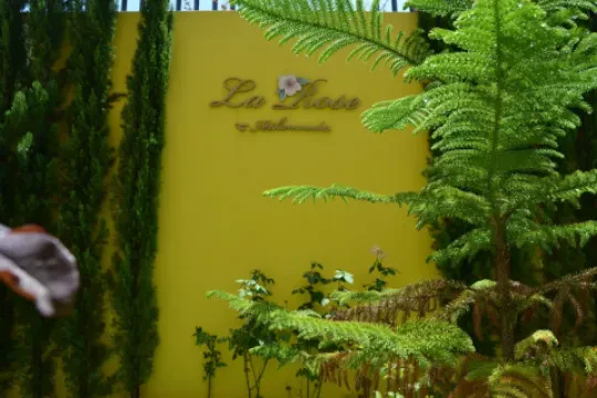 Espace Santé la Rose de Kinésithérapie de Mohammedia