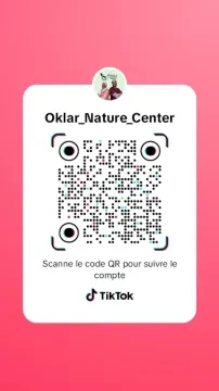 Centre Oklar de kinésithérapie et de rééducation fonctionnelle
