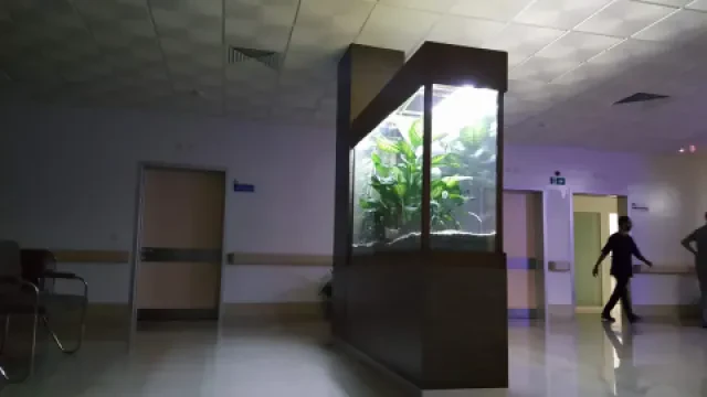 Clinique Al Houda