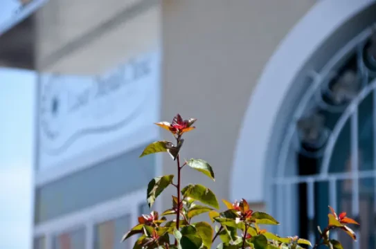 Laser Dental Clinic