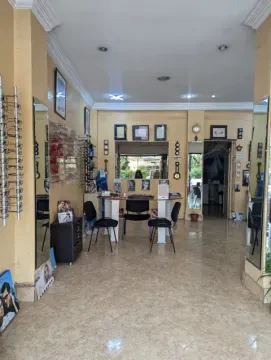 Vision Optique