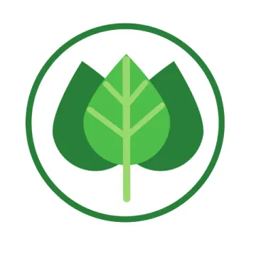 Cabinet Naturopathe Casablanca