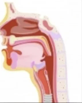 Dr Abderrahim Eljerrari — Oto-rhino-laryngologiste