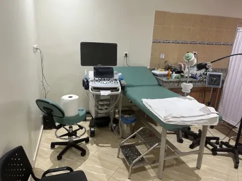 Dr Naima Chaieb