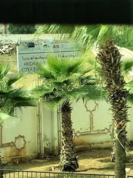 Dr Driss El Alami El Filali, Chirurgien-dentiste