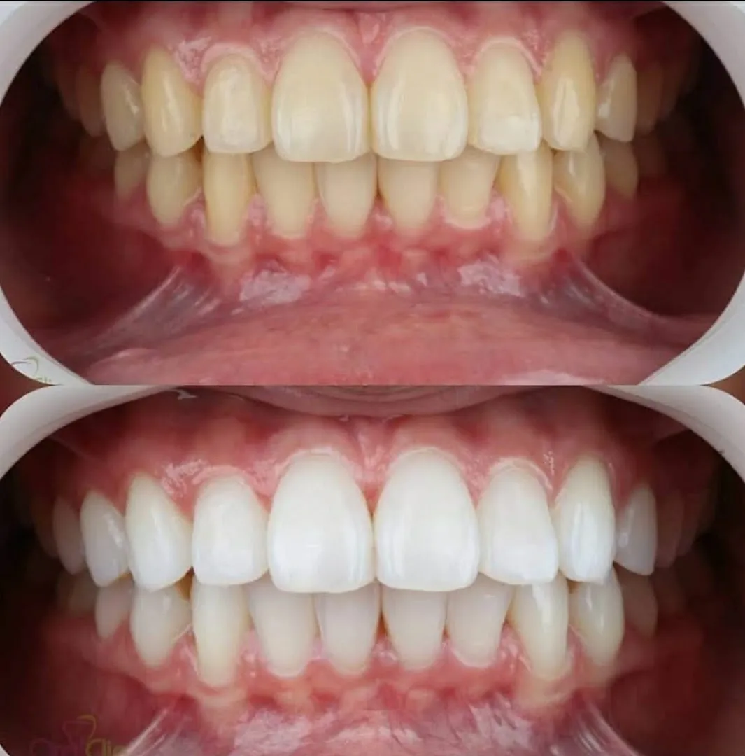 Dr Chafik Hachim, Dentiste