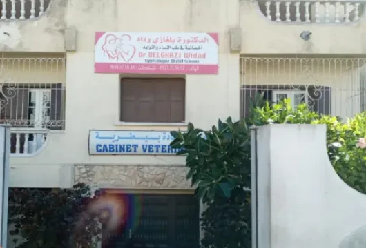 Dr Widad Belghazi