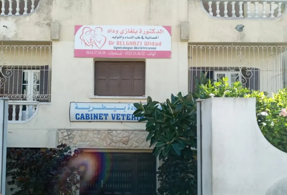 د. وداد بلغازي
