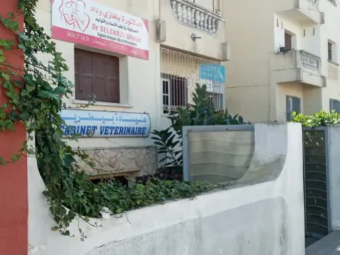 د. وداد بلغازي