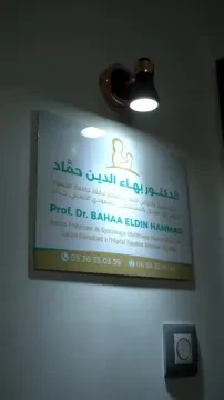 Professeur Bahaa Eldin Hammad