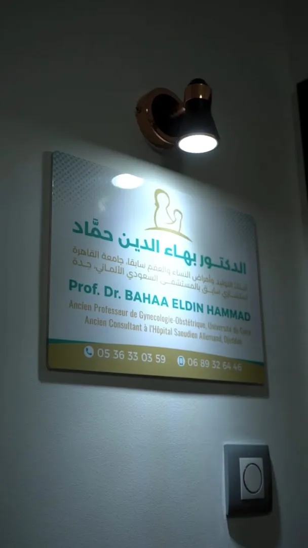 Professeur Bahaa Eldin Hammad