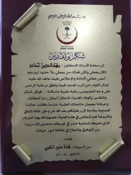 Professeur Bahaa Eldin Hammad