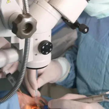 Dr Abdelali El Rhazi