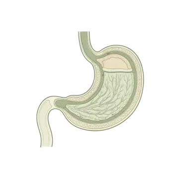 Dr Soumaya Faik - Cabinet de Gastro-Entérologie