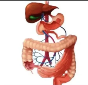 Dr. Mohamed Bouazzati - Cabinet de Gastro-Entérologie