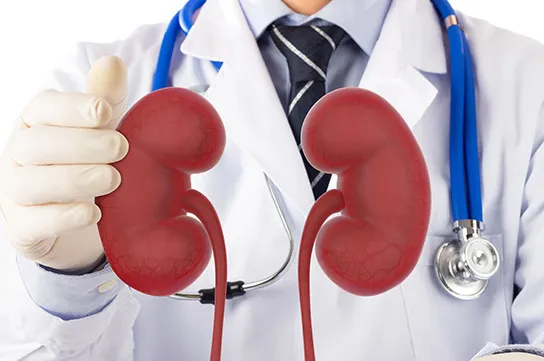 Dr Bakloul Fouad — Urologue