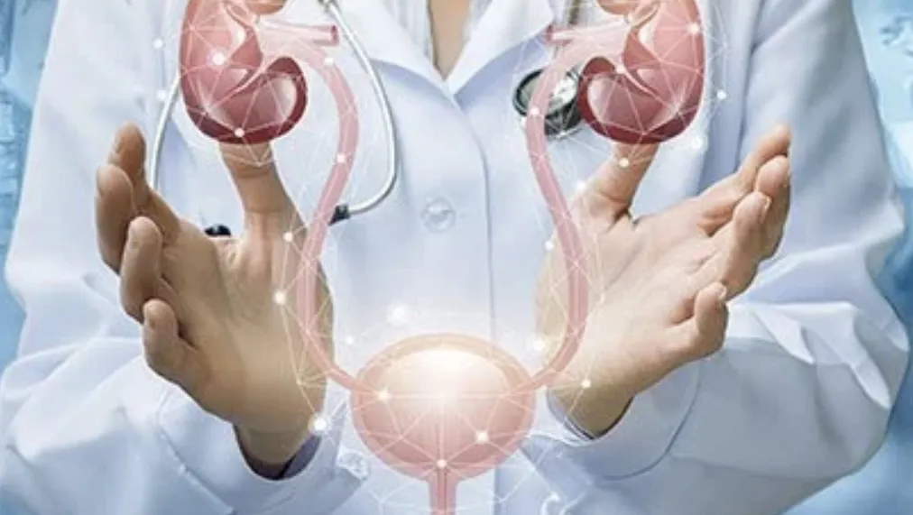 Dr Zakaria Elhaïba, chirurgien urologue