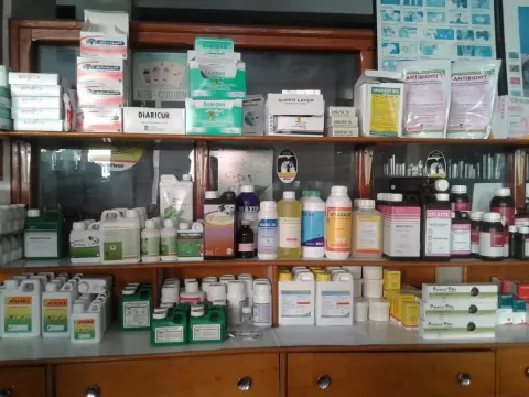 Pharmacie Kolea