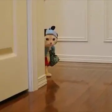 صيدلية المطار