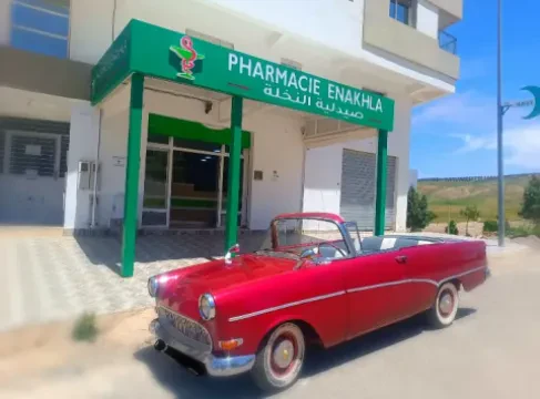صيدلية النخلة