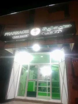 صيدلية وادي الذهب