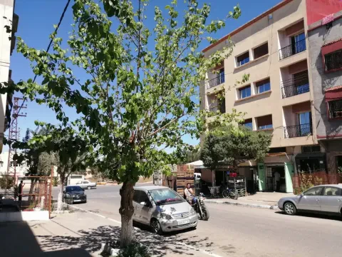 Pharmacie Sidki