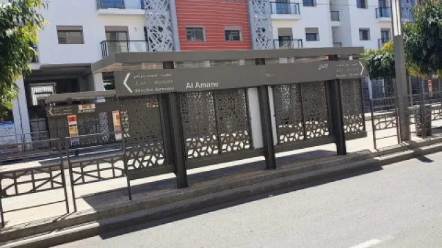 د. هند ضليعة — طبيبة نساء وتوليد