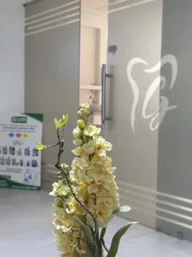 Dr Ghita Sossey Alaoui - Dentiste