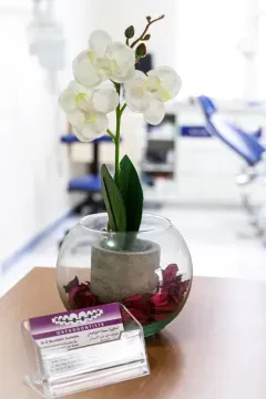 Dr Souhayla El Bouchikhi - Orthodontiste
