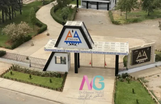 Dr Ghazal Nabil — Gynécologue