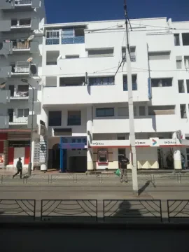 د. سامية برنوصي