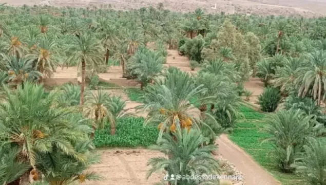 Dr Najia Sebai — Gynécologue