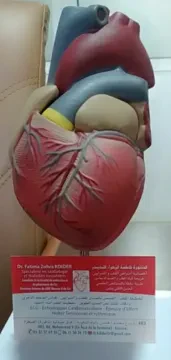 Dr Abbadi Mohamed Anas — Cardiologue