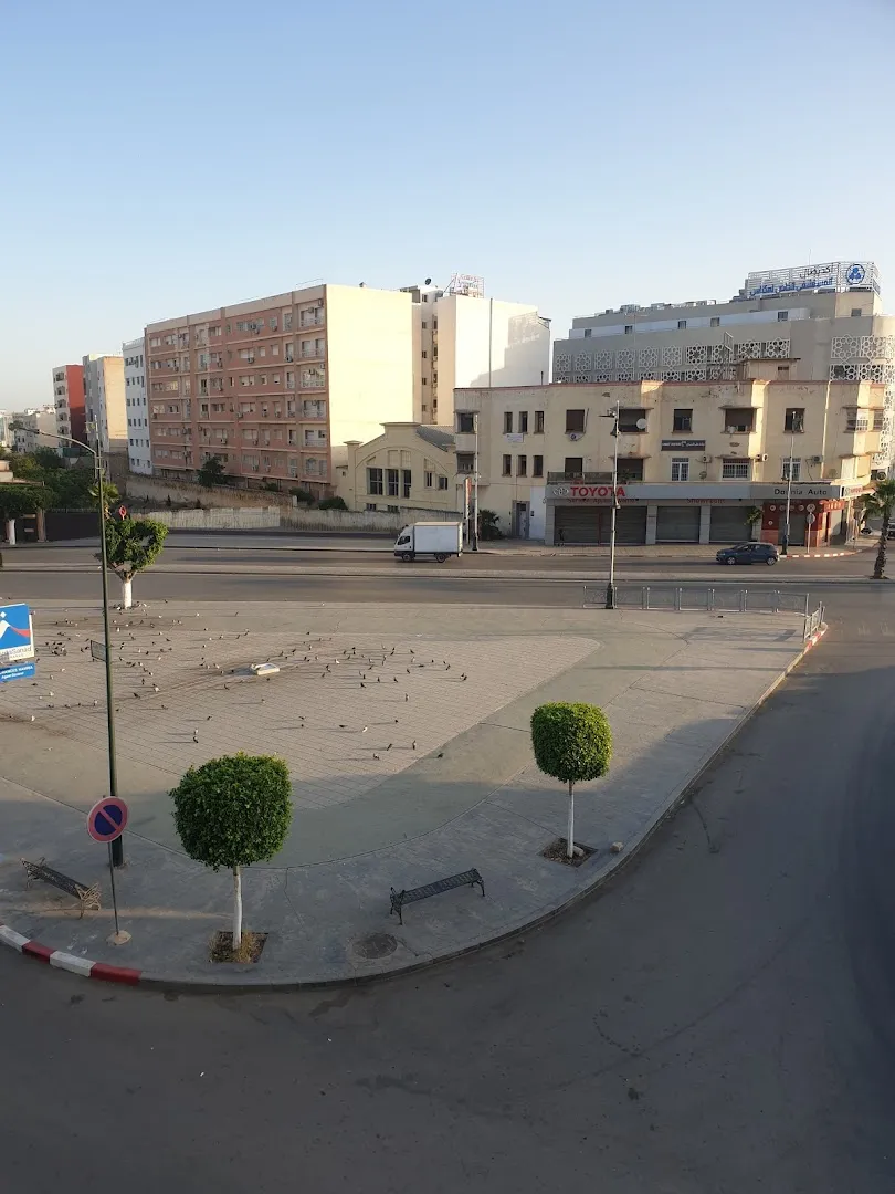 الدكتورة سميرة العامري
