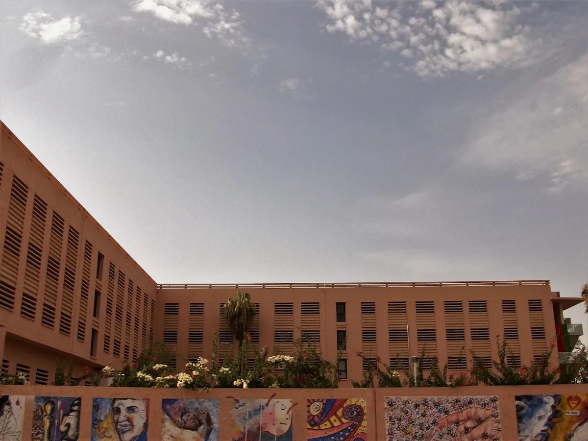 Hôpital Ibn Nafis