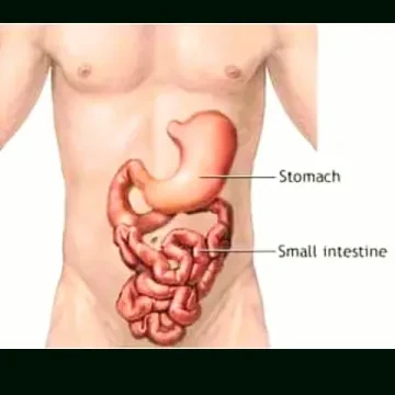 Centre Gastro-Entérologie Les Narcisses