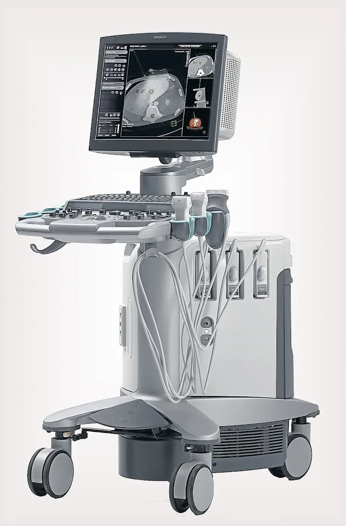 Dr Zineb Belhabib - Gastro-entérologue