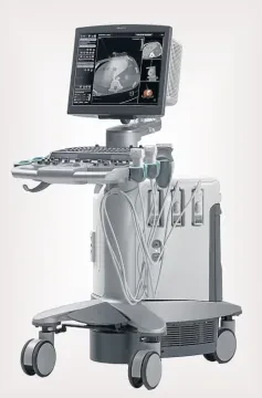 Dr Zineb Belhabib - Gastro-entérologue