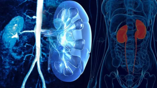 Dr Fettahi Abdelaziz - Urologue