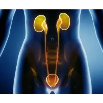 Dr Youssef Daoudi - Urologue