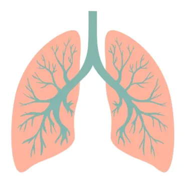 Dr Rachid Hanane - Cabinet de Pneumologie et d'Allergologie